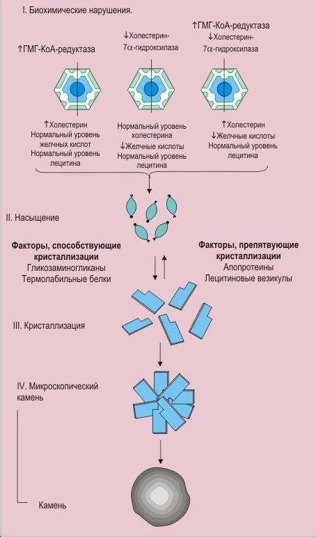 Объяснение механизма образования растяжек