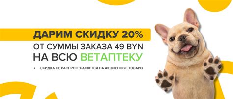 Объяснение сновидений о питомце: радость, забота и ответственность