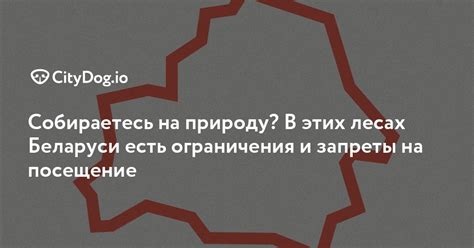 Ограничения и запреты на движение в лесах России