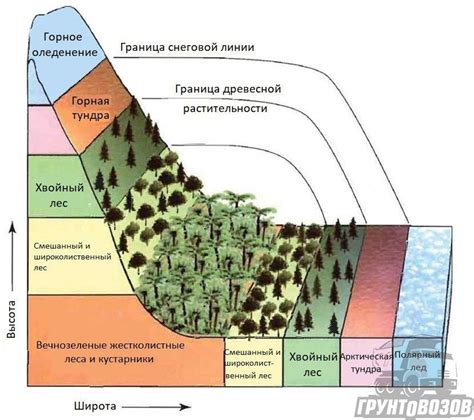 Ожидаемая температура почвы в южных районах