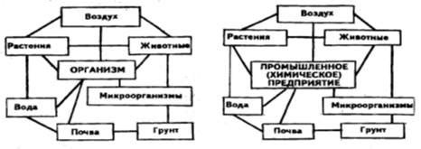 Окружающая среда и этичность производства