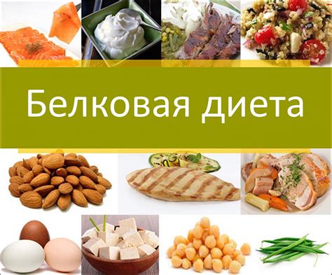 Омлет на белковой диете для улучшения здоровья