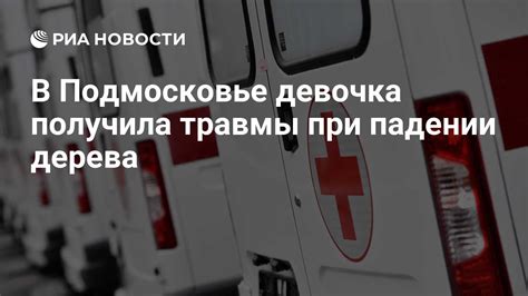 Опасности и возможные травмы при падении дерева