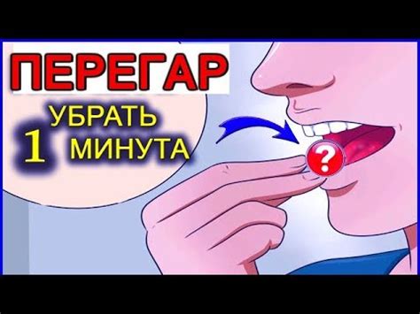 Описание запаха перегара