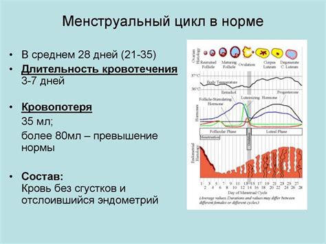 Описание механизма месячных