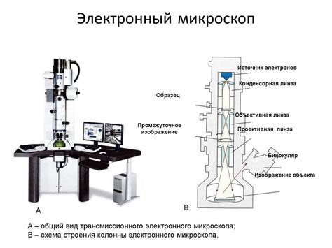 Описание работы первого электронного микроскопа