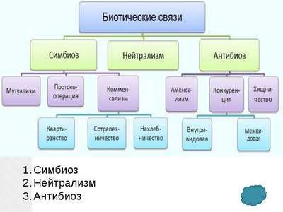 Определение и особенности совокупности живых организмов на суше