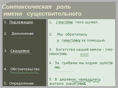 Определение и функции существительного в предложении