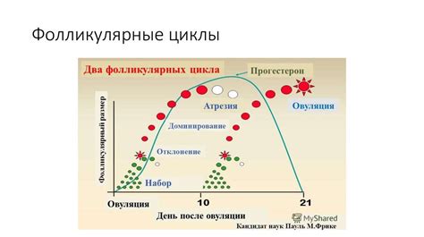 Определение оптимального времени опрыскивания