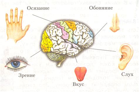 Определение собственных чувств