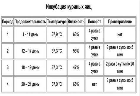 Оптимальная температура замораживания пюре