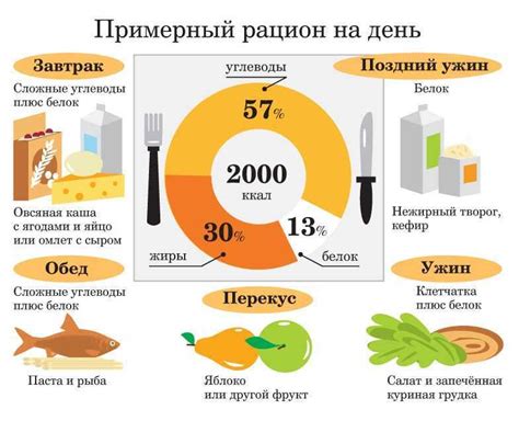 Оптимальное время для потребления углеводов и белка