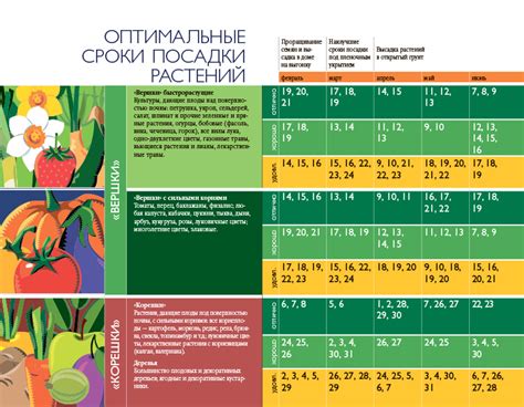 Оптимальные сроки посадки каждой культуры: