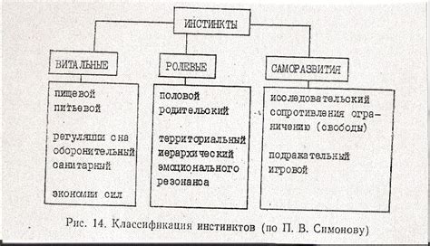 Основные инстинкты человека и их роль в деятельности