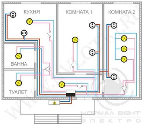 Основные требования к месту размещения туи в квартире