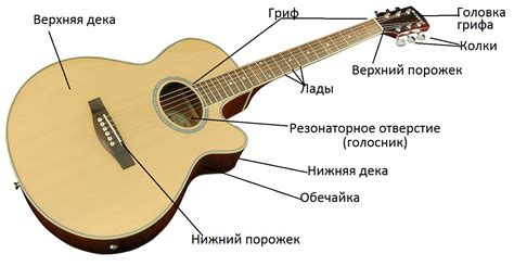 Основные элементы нотной записи для гитары