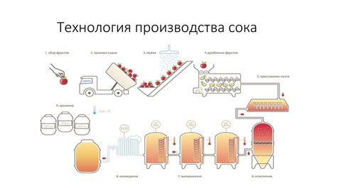 Основные этапы процесса замораживания яблочного сока