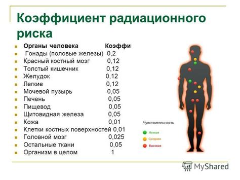 Основы радиации и ее влияние на организм