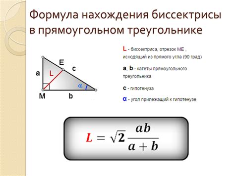 Особенности и свойства медианы и биссектрисы