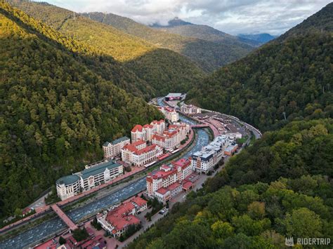 Особенности посещения собак на Роза Хуторе