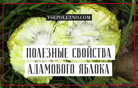 Особенности процесса перезагрузки адамово яблоко