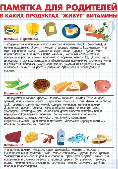 Особенности рекомендаций по питанию