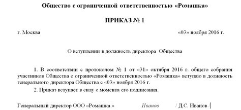 Ответственность при нарушении порядка оформления приказа на генерального директора