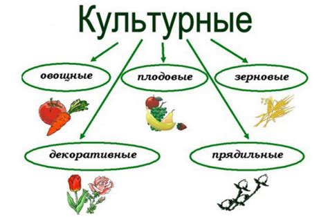 Открытие земледелия и появление первых культурных растений