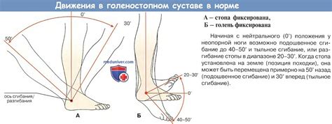 Ощущение боли и хвост