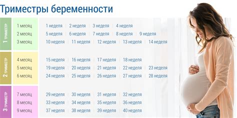 О чем говорит сон о возможной беременности от избранника?