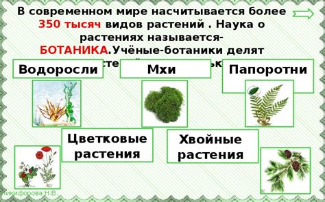 Пастернак - уникальное питательное богатство