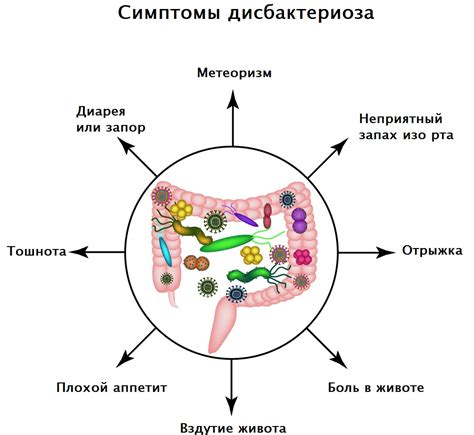 Пельмени и дисбиоз кишечника