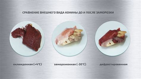 Перевариваемость сырого мяса курицы у крыс