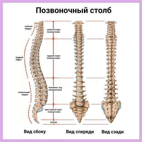 Перекосы позвоночника