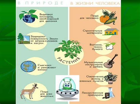 Перенесенное значение искусственных растений в сновидении