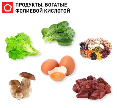 Питательные продукты, богатые фолиевой кислотой