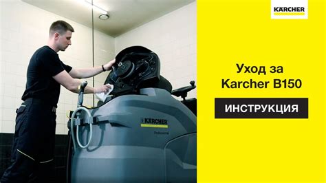 Плюсы и минусы опрыскивания деревьев моющей машиной Karcher