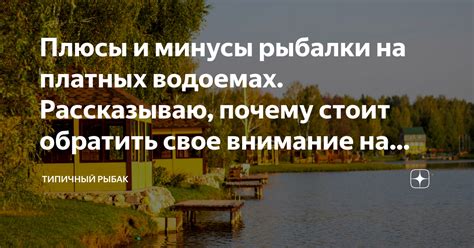 Плюсы и минусы платных звонков на свой номер