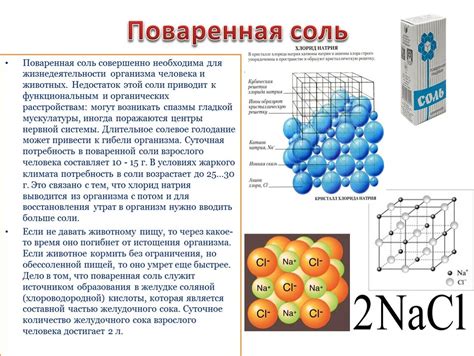 Поваренная соль: жидкая и углекислая