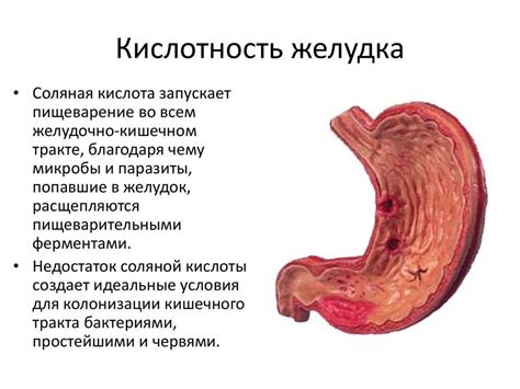 Повышение кислотности желудка после томатного сока