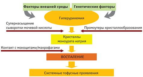 Повышение мочевой кислоты без подагры: причины и механизмы