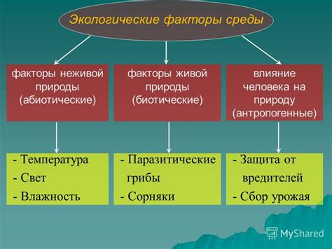 Погодные условия и биологические факторы