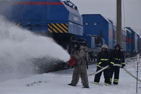 Подготовка кормов для зимнего периода