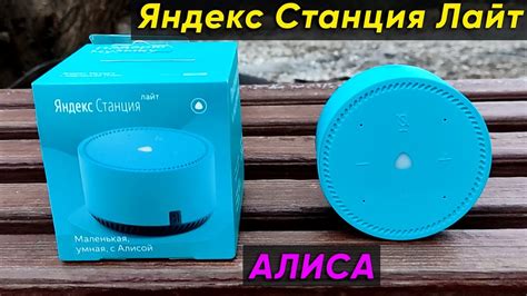 Подготовка к подключению Алисы без Wi-Fi