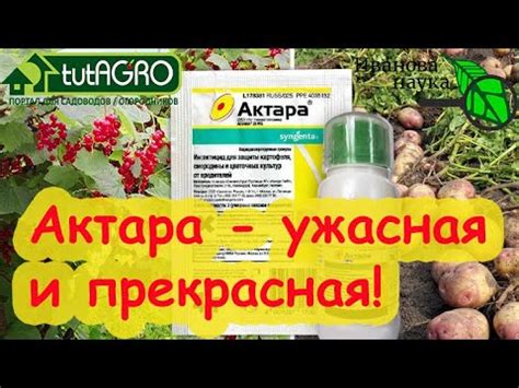 Подобие действия Актару и Фундазола