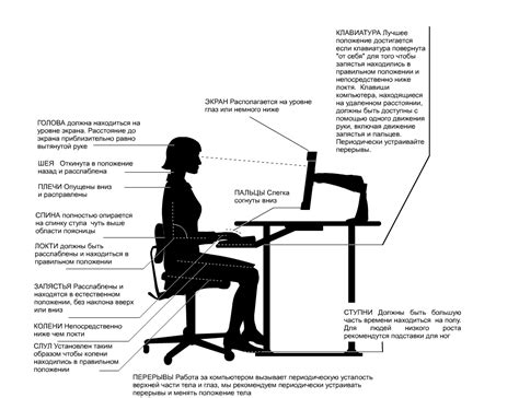 Поза при работе за монитором