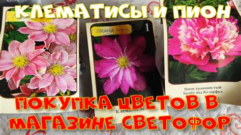 Покупка чужих цветов