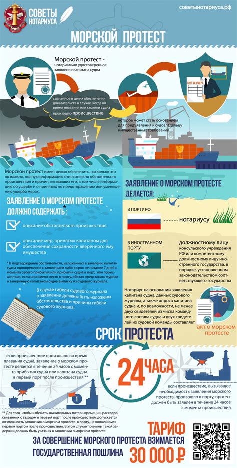 Полезная информация о соме: особенности разделки