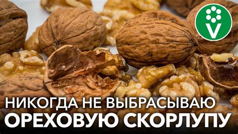 Полезные свойства грецкого ореха для похудения