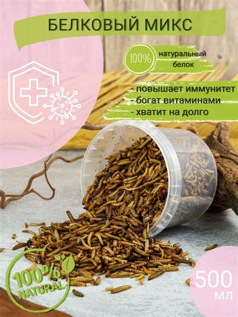 Полезный белковый продукт для крыс